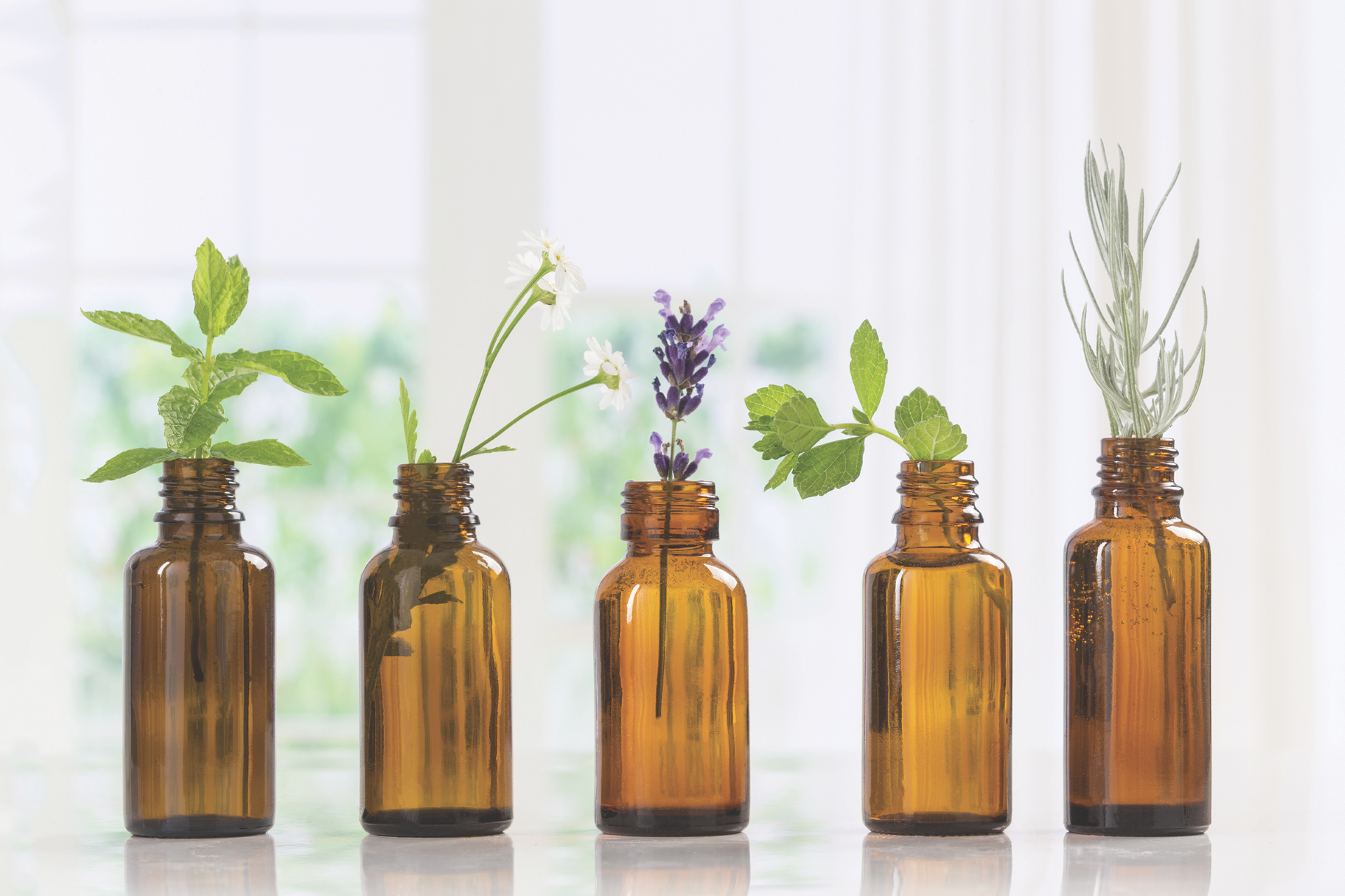 Fragrance Oils as Aromatherapy: The Surprising Mood-Boosting Power You’ve Been Missing
