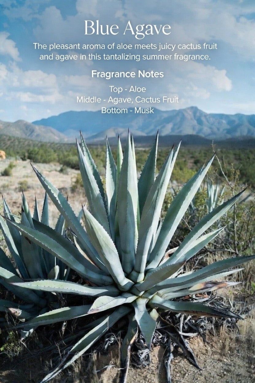 Blue Agave -120ml (4 oz)